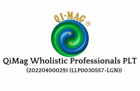 Qi-Mag